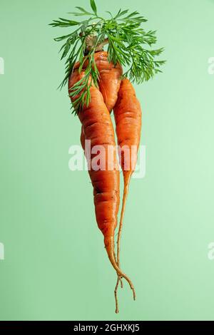 Hässliche Bio-Karotte auf grünem Hintergrund. Kreative künstlerische Aufnahme Stockfoto