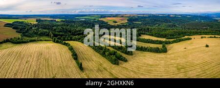 Panoramablick auf kultivierte Felder in der Nähe des grünen Waldes Stockfoto