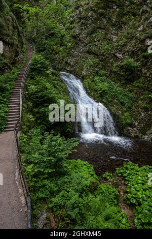 Lierbach-Wasserfälle im Schwarzwald, Deutschland Stockfoto