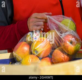 Jami Malcolm, Freiwilliger des amerikanischen Roten Kreuzes während der Operation Allies Refuge, packt einen Beutel mit Äpfeln auf dem Ramstein Air Base, Deutschland, 6. September 2021 aus. Das amerikanische Rote Kreuz ist eine Organisation, die sich dafür eingesetzt hat, Menschen, die schwere Krisen durchmachen, Katastrophenhilfe zu bieten, was in der gesamten OAR extrem wichtig war. (USA Luftwaffe Foto von Senior Airman Kiaundra Miller) Stockfoto