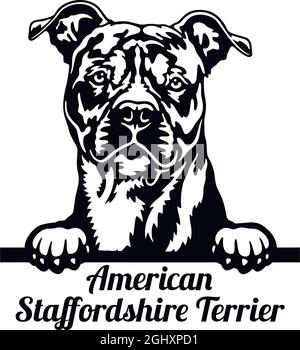 American Staffordshire Terrier Peeking Dog - Kopf isoliert auf weißem - Vektorstock Stock Vektor