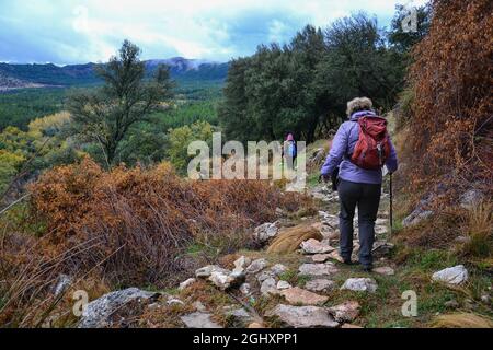 Gruppe von Wanderern, die im Herbst an einem bewölkten Tag mit Bergen im Hintergrund einen Pfad in der Sierra de Huetor entlang wandern Stockfoto