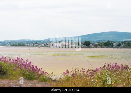 Aufnahmen aus der Dublin Bay und dem Bereich des Poolbeg Lighthouse Stockfoto