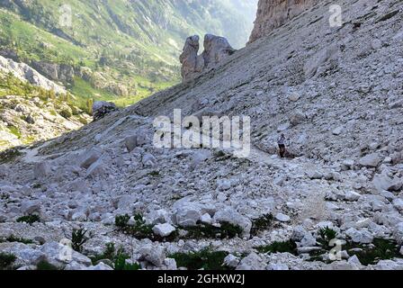 Slowenien, Lepena-Tal, Triglav-Nationalpark. Seltsame fingerförmige Felsformationen in der Umgebung von Bergkarst. Pfad zum Berg Krn und zum Berg Batognica. Das von den Bergen Krn, Batognica und Peski abgegrenzte Gebiet ist ein weites, strenges Hochplateau, auf dem Wege nicht so gut verfolgt werden. Stockfoto