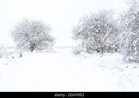 Landstraße im Winter bei Schneefall mit Schnee bedeckt Stockfoto