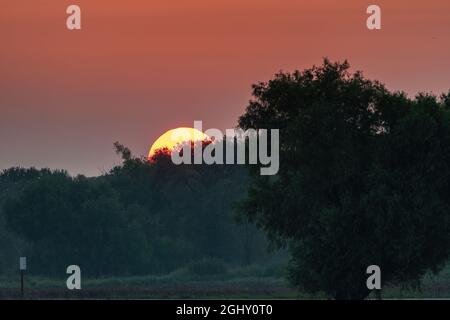 Friedlicher Sonnenaufgang in einem abgelegenen Tierschutzgebiet mit der Sonne, die im warmen Licht der goldenen Stunde über die Bäume am Horizont guckt. Stockfoto