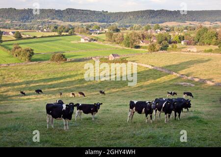 Blick auf Ashford im Wasser auf der Straße von Bakewell nach Monyash, Peak District, Derbyshire, England Stockfoto