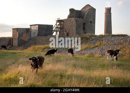 Elster Minen, Ruinen alter Bleiminen in Sheldon, Bakewell, Peak District, Derbyshire, England Stockfoto