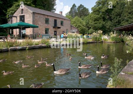 Cromford Canal Wharf, Arkwrights Mill, Cromford nr Matlock, Derbyshire, England Stockfoto