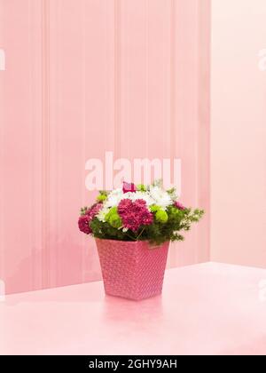 Die Blumen vor einer rosa Wand Stockfoto