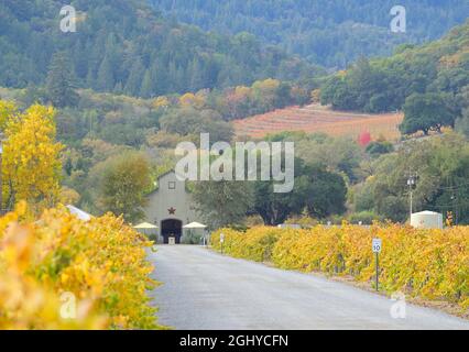 Amista Vineyards - wunderschöne Herbstlandschaft an der Dry Creek AVA, Healdsburg (Sonoma) CA Stockfoto