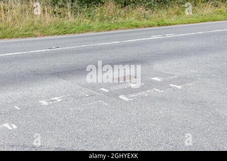 Schlecht gepflegte weiße Straßenmarkierungen an der T-Kreuzung einer Land-A-Straße. Für die Verkehrssicherheit, verblassen Metapher, schwer zu sehen. Stockfoto