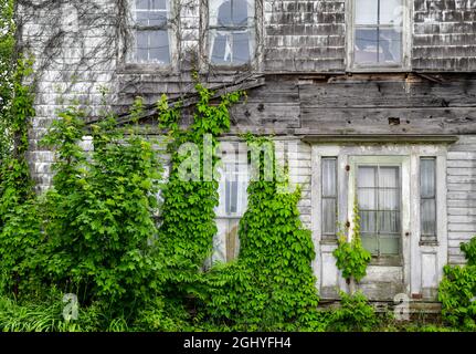 Verwitterte und verlassene Bauernhaus Gebäude façade Stockfoto