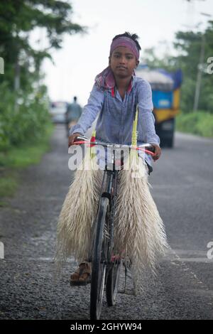 23. September 2020, Flughafen Barisal, Barisal, Bangladesch. Ein Kind trägt Cashew-Blumen auf einem Fahrrad Stockfoto