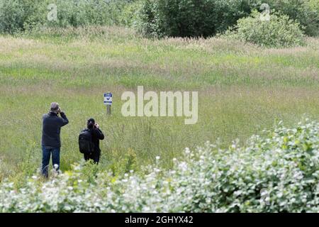 Ein paar Leute suchen auf einer Wiese auf einem Naturlehrpfad in einem Park nach Vögeln. Stockfoto