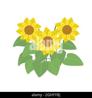 Blumenstrauß von Sonnenblumen, Herbstblumen. Illustration in flacher Ausführung, isoliert. Stock Vektor