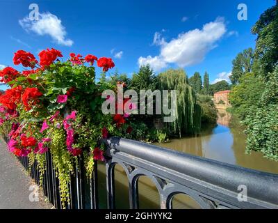 Der Fluss Derwent in der Marktstadt Malton in North Yorkshire, Großbritannien. Stockfoto