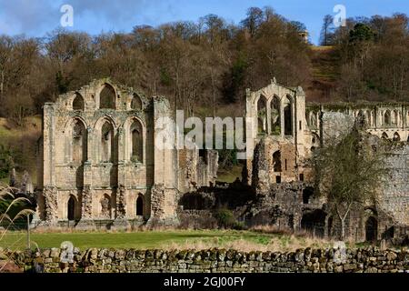 Ruinen der Rievaulx Abbey - eine Zisterzienserabtei in der Nähe von Helmsley im North York Moors National Park, North Yorkshire, England. Es war eines der großen Bauchfalle Stockfoto