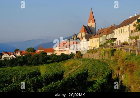 Weissenkirchen, die Pfarrkirche, Weinberge und Hügel kurz nach Sonnenaufgang an der Donau in Wachau, Niederösterreich Stockfoto