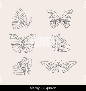 Satz von linearen flachen Schmetterling Umriss Vektor-Illustration. Stock Vektor