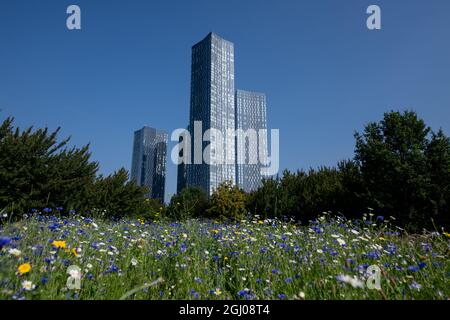 Der Deansgate Square Skyscraper Cluster vom Hulme Park aus gesehen. Stockfoto