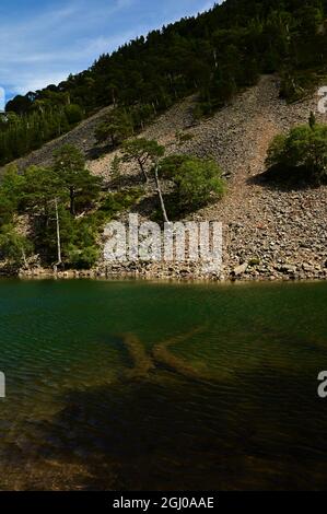 Ein Blick über den Green Loch (an Lochan Uaine) im Glenmore Forest bei Aviemore in den schottischen Highlands. Stockfoto