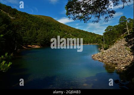 Ein Blick über den Green Loch (an Lochan Uaine) im Glenmore Forest bei Aviemore in den schottischen Highlands. Stockfoto