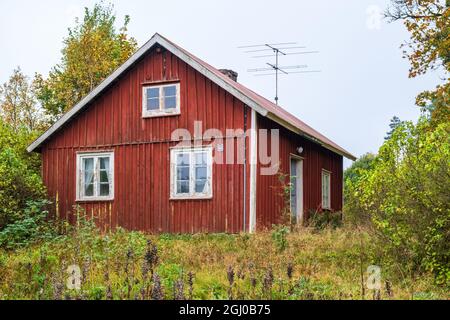 Alte verlassene rote Hütte mit einem überwucherten Garten Stockfoto