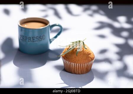 Cannabisblatt mit Brownie auf blauem Hintergrund. Cannabis Live Harzextraktion, Kaffee Stockfoto