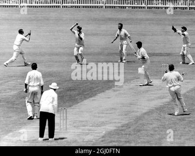 Australien gegen England David Sheppard (Englnd) wird von Graham McKenzie drei Mal beim Bowlen von Alan Davidson gefangen, während die australischen Feldspieler am ersten Tag des dritten Testspieles auf dem Sydney Cricket Ground appellierten. Januar 1963. Stockfoto