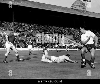 England gegen Irland der irische Torhüter Harry Gregg (Doncaster Rovers) taucht akrobatisch zu Füßen von Tommy Taylor (Manchester United), während der Ball locker läuft und von der irischen Verteidigung geräumt werden kann. November 1957 Stockfoto