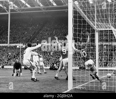 25. Mai 1963: Das FA-Pokalfinale im Wembley-Stadion. Manchester United (3) gegen Leicester City (1). Foto zeigt: United erzielt das zweite Tor von Herd (#9) mit Denis Law (#10), der seine Arme vor Freude hochwirft, während Gordon Banks, Stadttorwart, auf den Knien liegt.erzielte zwei von United-Toren. : das FA-Pokalfinale im Wembley-Stadion. Manchester United (3) gegen Leicester City (1). Foto zeigt: Manchester United, Mitte-vorne, David Herd (dunkles Hemd, zweiter von rechts), der Torschütze gibt einen Triumphschrei aus, als der Ball die City um ihr zweites Tor überquert. Stockfoto