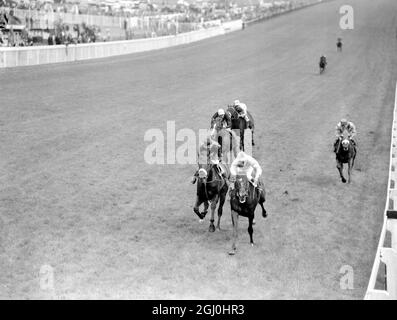 Epsom, Surrey, England: Der letztjährige französische Derby-Sieger Relko mit Yves Saint Martin (Mitte) gewinnt heute hier den 63. Coronation Cup auf der Rennstrecke von Epsom. Der zweite war Khalkis (links) unter G Bougoure und der dritte Lester Piggott auf der Royal Avenue (links, weißes Cape) am 4. Juni 1964 Stockfoto