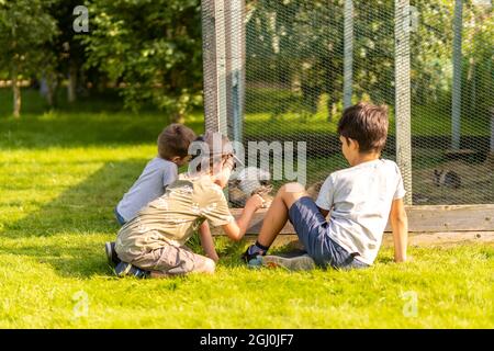 GIEBULTOW, POLEN - 12. Aug 2021: Eine Gruppe von Kindern, die auf grünem Gras sitzen und Kaninchen in einem Garten füttern, Giebultow, Polen Stockfoto