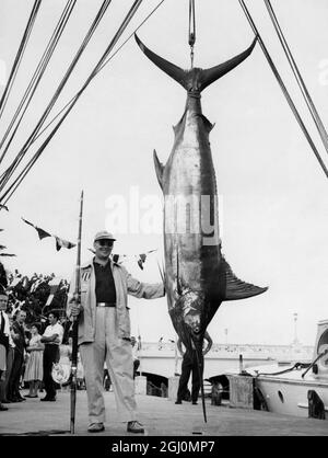 William G. Carrington Jr. aus New York City steht stolz neben dem riesigen blauen Marlin, den er in den Gewässern vor San Juan, Puerto Rico, landete. Er verwendete eine 39-Pfund-Testlinie, um die 435 Pfund-Fisch Haken. Carrington war Mitglied des Club Nautico Teams von San Juan und nahm an einer Angelreise gegen ein Team aus North Carolina Teil, um festzustellen, welches der Gebiete das Blue Marlin Zentrum der Welt ist - 24. August 1959 ©TopFoto Stockfoto