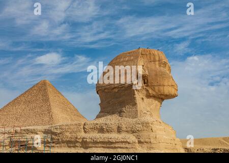 Afrika, Ägypten, Kairo. Giza Plateau. Große Sphinx von Gizeh vor der Großen Pyramide von Gizeh. Stockfoto