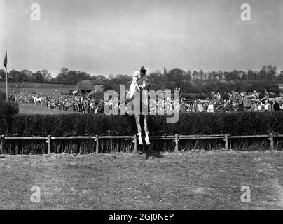 9. Mai 1954 Gay Kindersley nimmt den letzten auf Huckster, um das Masters' Cup-Event bei den Punkt-zu-Punkt-Rennen von Old Surrey und Burstow Hunt in Spitals Cross, Edenbridge, Kent, England zu gewinnen. TopFoto.co.uk Stockfoto