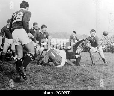 In einem dramatischen Start in Stradey Park , Llanelli , Wales , Dawie De Villiers , der Springboks Kapitän fast punktet und wird Zoll von der Llanelli-Linie heruntergeholt , und verliert Besitz nach dem Tackle , während der Llanelli gegen Südafrikaner Rugby Spiel . 20. Januar 1970 Stockfoto