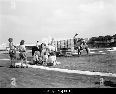 Kinder Reiter Proben für ihren großen Tag. Eines der Merkmale der Harringay Horse Show , die morgen eröffnet , wird die Reiten und Springen Leistung von einem Team von jungen Reitern , alle von ihnen Mitglieder des Crawley und Horsham Pony Club sein . Seit einiger Zeit üben die Jugendlichen unter der Aufsicht von Brigadier und Frau John Allen aus Ashington , Sussex , hart und heute haben sie eine Probe in Harringay für die morgige Eröffnung. Fotoshows ; heute von Pferdefrauen in Harringay beobachtet, übt ein jugendlicher Reiter einen der Demonstrationssprünge für die morgige Show . 12. Sept Stockfoto