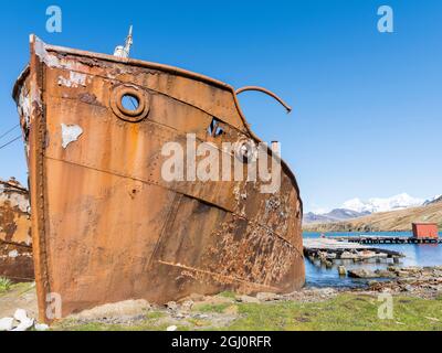 Wrack der Dias in Grytviken. Grytviken Whaling Station in Südgeorgien. Grytviken ist für Besucher geöffnet, aber die meisten Wände und Dächer der Fabrik haben Stockfoto