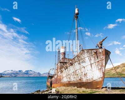 Sturmwal-Fänger. Grytviken Whaling Station, für Besucher geöffnet, aber die meisten Wände und Dächer der Fabrik wurden aus Sicherheitsgründen abgerissen. So Stockfoto