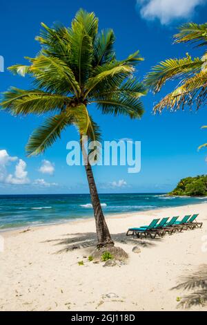 Karambolen Beach Resort Beach, St. Croix, US Virgin Islands. Stockfoto