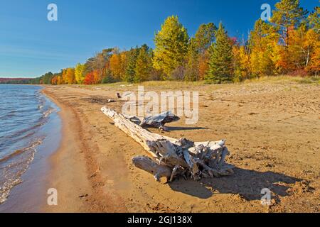 Kanada, Ontario, Pancake Bay Provincial Park, Driftwood am Sandstrand am Lake Superior. Kredit als: Mike Grandmaison / Jaynes Gallery / DanitaDelim Stockfoto