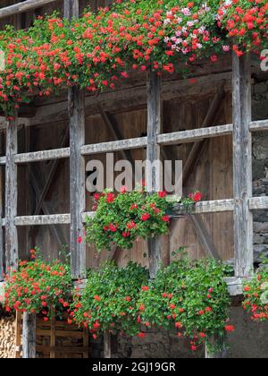 Canale d'Agordo, traditionelle alpine Architektur im Tal Val Biois, Italien. Stockfoto