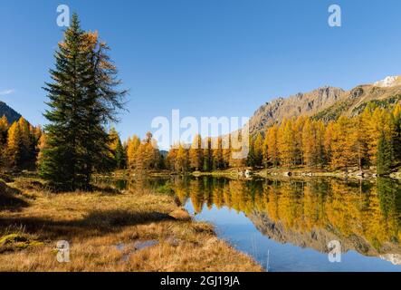 Lago San Pellegrino (Lech de San Pelegrin) im Herbst am Passo San Pellegrino in den Dolomiten. Italien. Stockfoto