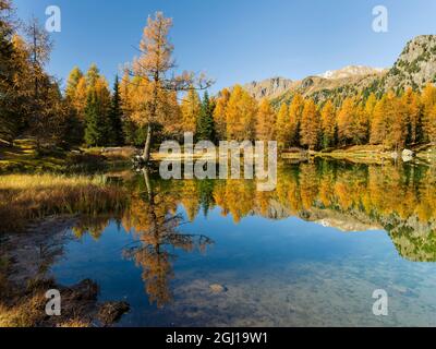 Lago San Pellegrino (Lech de San Pelegrin) im Herbst am Passo San Pellegrino in den Dolomiten, Italien. Stockfoto