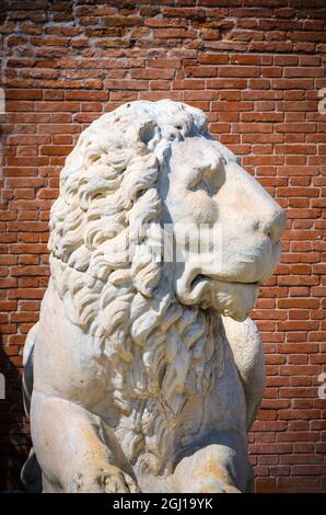 Löwen-Statue am Eingang zum FC Arsenal, Venedig, Veneto, Italien Stockfoto