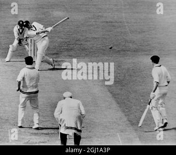 CRICKET AUSTRALIA V NOTTINGHAM STAND SCHWINGT BRUNNEN ; 14. MAI 1964 Stockfoto