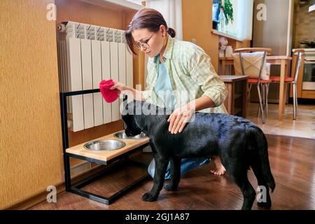 Frau und Hund mittleren Alters zu Hause in der Küche Stockfoto