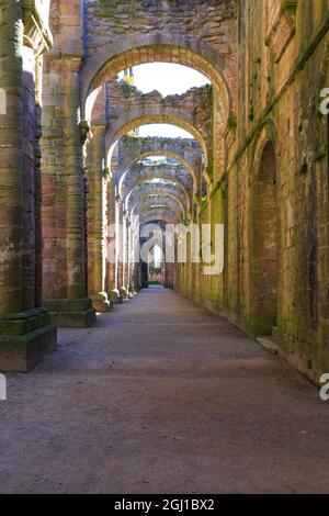 England, North Yorkshire, Ripon. Fountains Abbey, Studley Royal. UNESCO-Weltkulturerbe. National Trust, Zisterzienserkloster. Ruinen von torbögen n Stockfoto